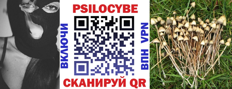 Галлюциногенные грибы Psilocybe Белореченск